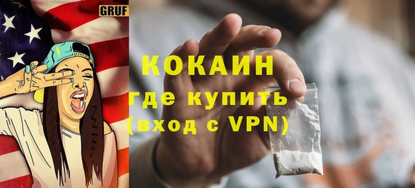 ГАЛЛЮЦИНОГЕННЫЕ ГРИБЫ Дмитриев