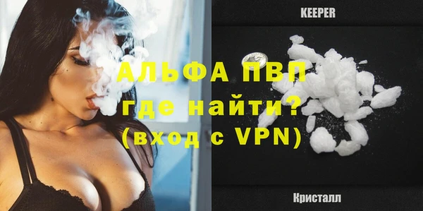 ГАЛЛЮЦИНОГЕННЫЕ ГРИБЫ Дмитриев