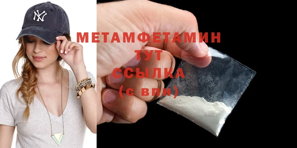 ГАЛЛЮЦИНОГЕННЫЕ ГРИБЫ Дмитриев