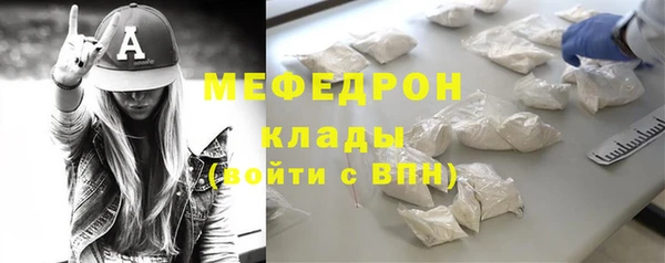 ГАЛЛЮЦИНОГЕННЫЕ ГРИБЫ Дмитриев