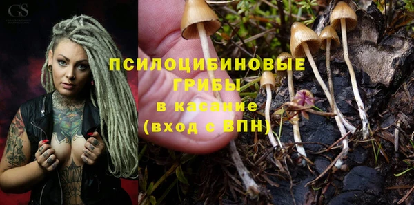 mix Дмитровск