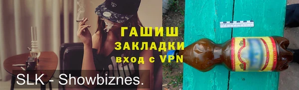 ГАЛЛЮЦИНОГЕННЫЕ ГРИБЫ Дмитриев