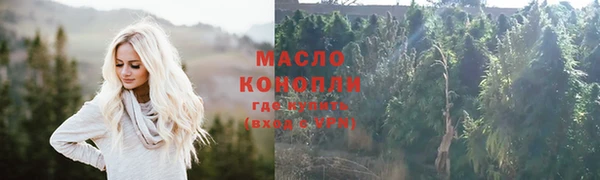 ГАЛЛЮЦИНОГЕННЫЕ ГРИБЫ Дмитриев