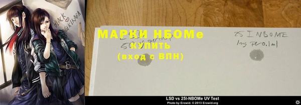 ГАЛЛЮЦИНОГЕННЫЕ ГРИБЫ Дмитриев