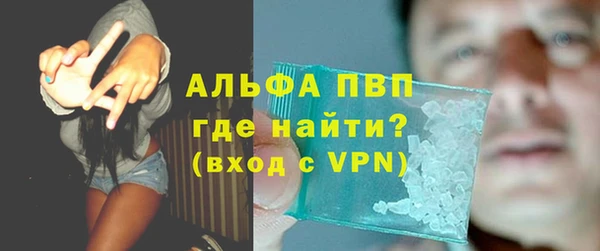 ГАЛЛЮЦИНОГЕННЫЕ ГРИБЫ Дмитриев