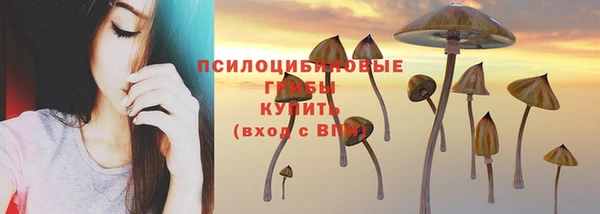 mix Дмитровск