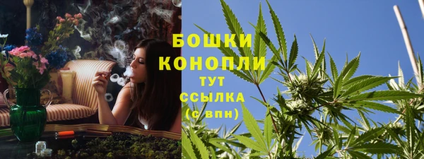 ГАЛЛЮЦИНОГЕННЫЕ ГРИБЫ Дмитриев
