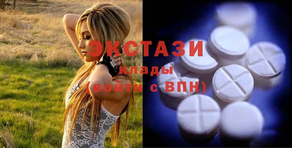 ГАЛЛЮЦИНОГЕННЫЕ ГРИБЫ Дмитриев