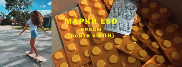 ГАЛЛЮЦИНОГЕННЫЕ ГРИБЫ Дмитриев