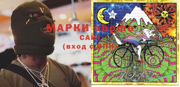 ГАЛЛЮЦИНОГЕННЫЕ ГРИБЫ Дмитриев