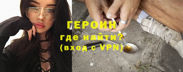 ГАЛЛЮЦИНОГЕННЫЕ ГРИБЫ Дмитриев