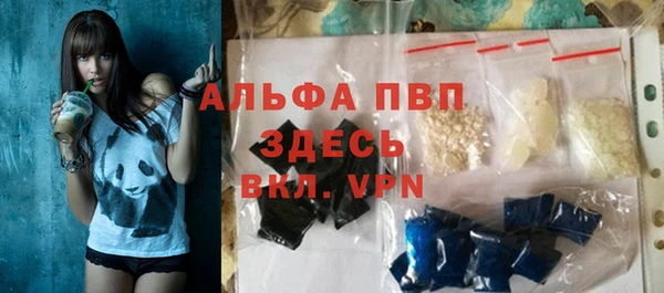 ГАЛЛЮЦИНОГЕННЫЕ ГРИБЫ Дмитриев