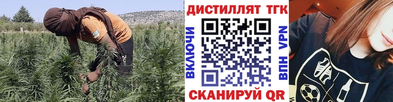 Дистиллят ТГК гашишное масло  Ершов 