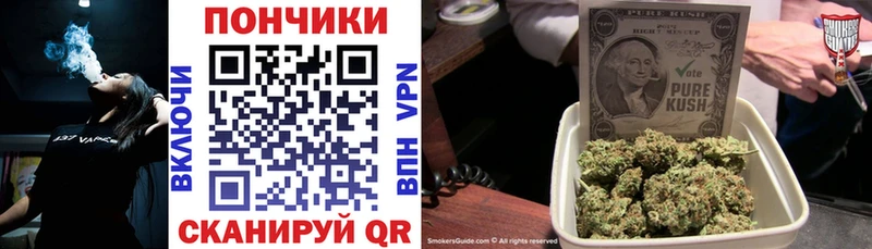 МЕГА ссылка Ершов Конопля гибрид